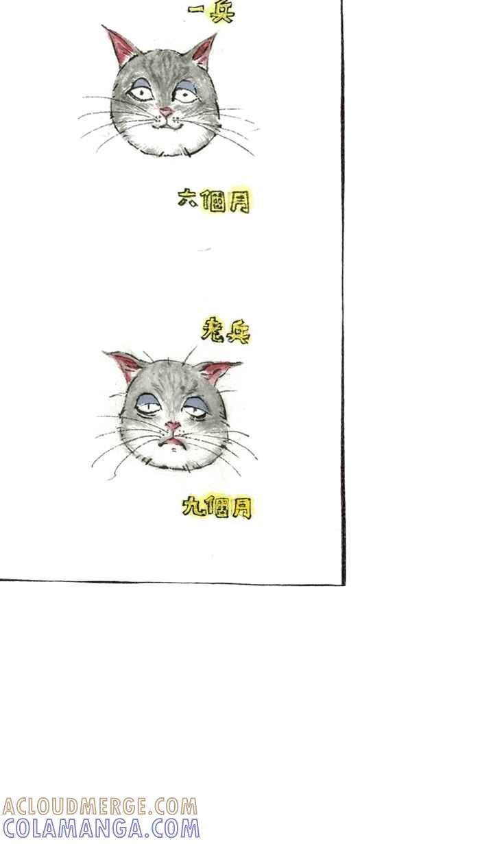 猫剑客 【军旅特别篇】 布布大兵日记 第43页