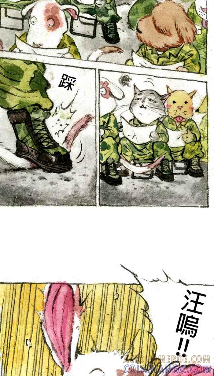 猫剑客 【军旅特别篇】 布布大兵日记 第4页