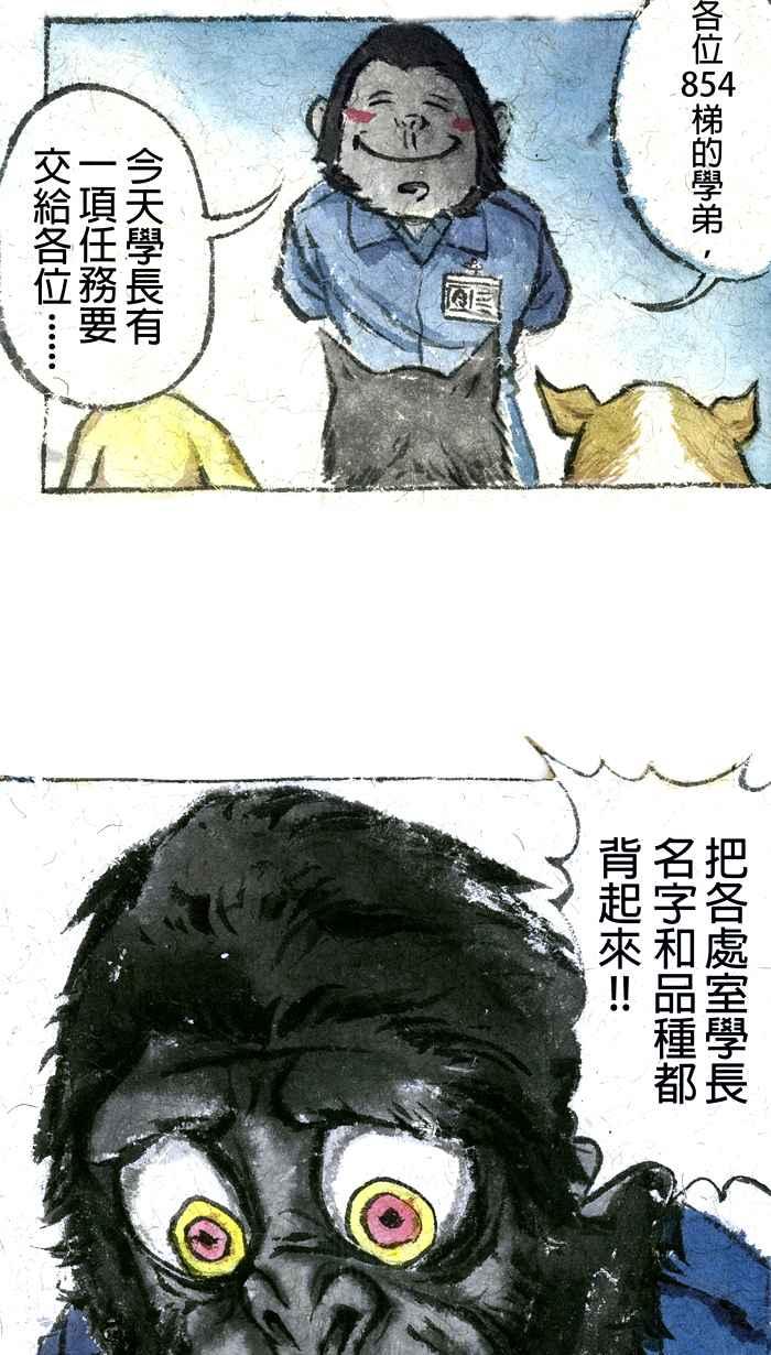 猫剑客 【军旅特别篇】 布布大兵日记 第33页