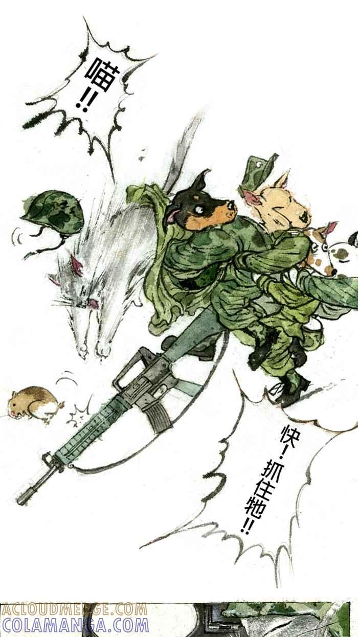 猫剑客 【军旅特别篇】 布布大兵日记 第10页