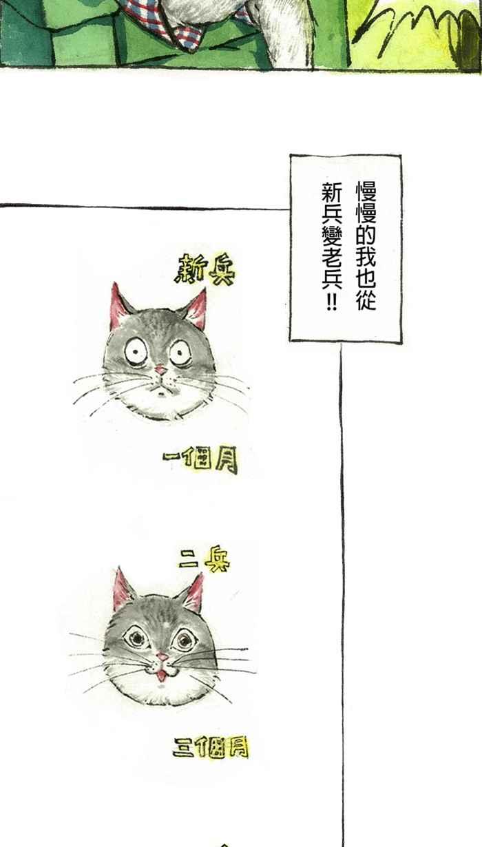 猫剑客 【军旅特别篇】 布布大兵日记 第42页