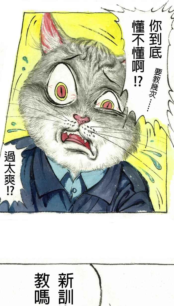 猫剑客 【军旅特别篇】 布布大兵日记 第44页