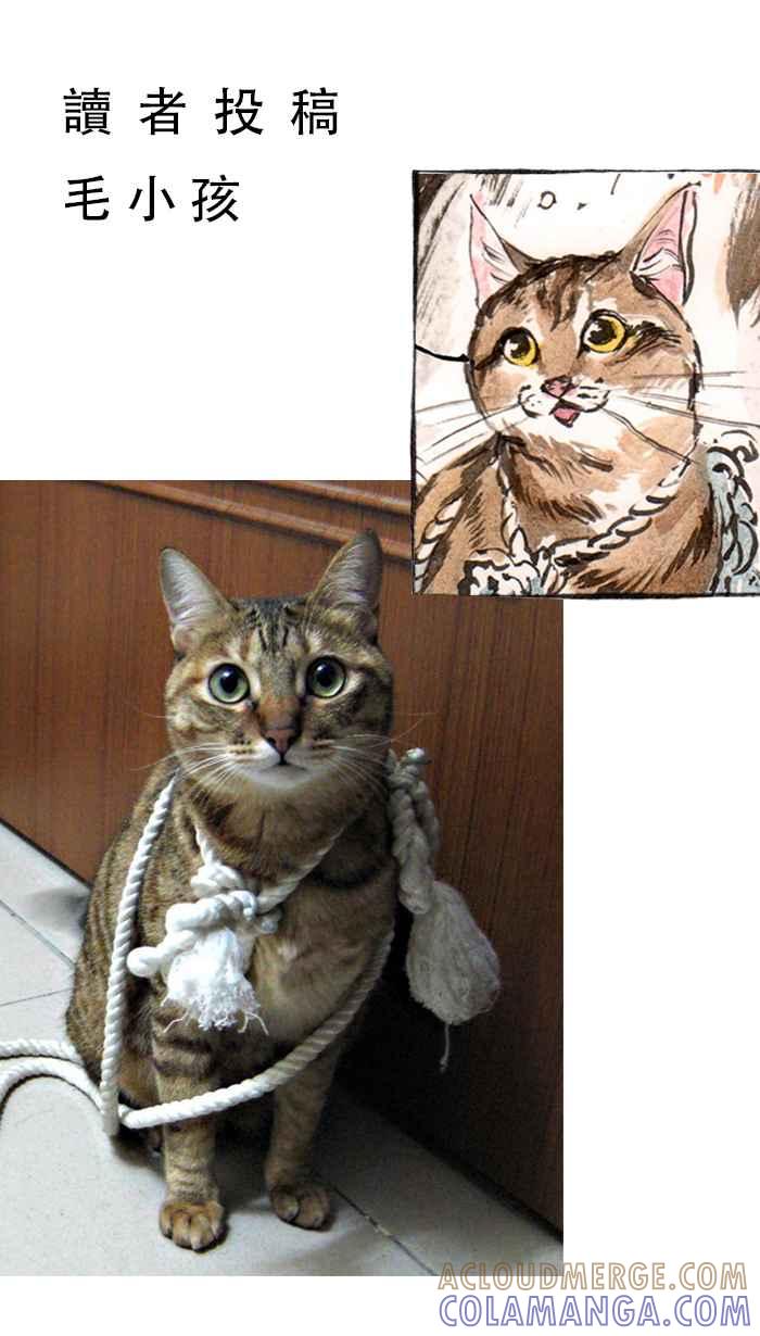 猫剑客 [第48话] 畜生道 伍 第37页