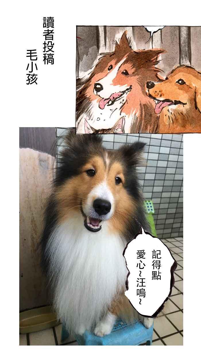 猫剑客 [第49话] 畜生道 陆 第32页