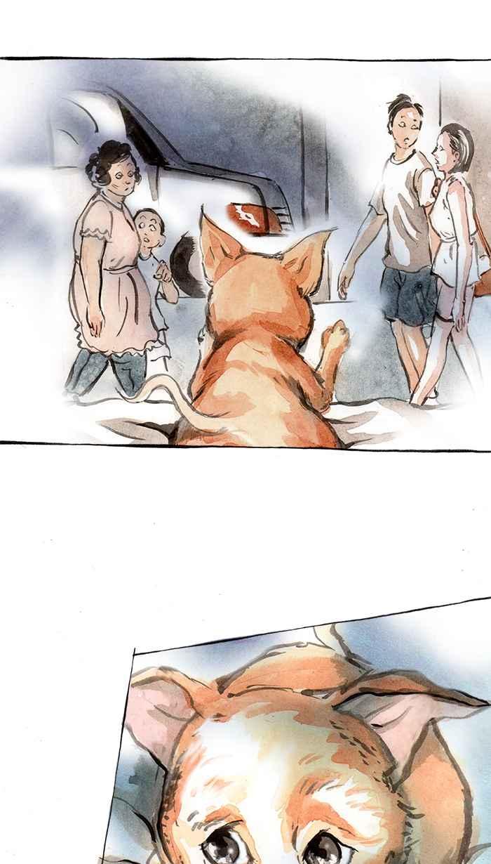 猫剑客 [第52话] 畜生道 玖 第12页