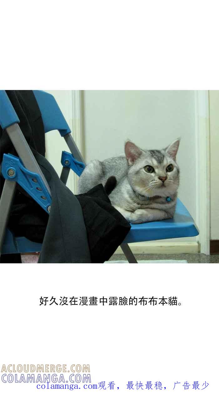 猫剑客 [第53话] 畜生道 拾 第37页