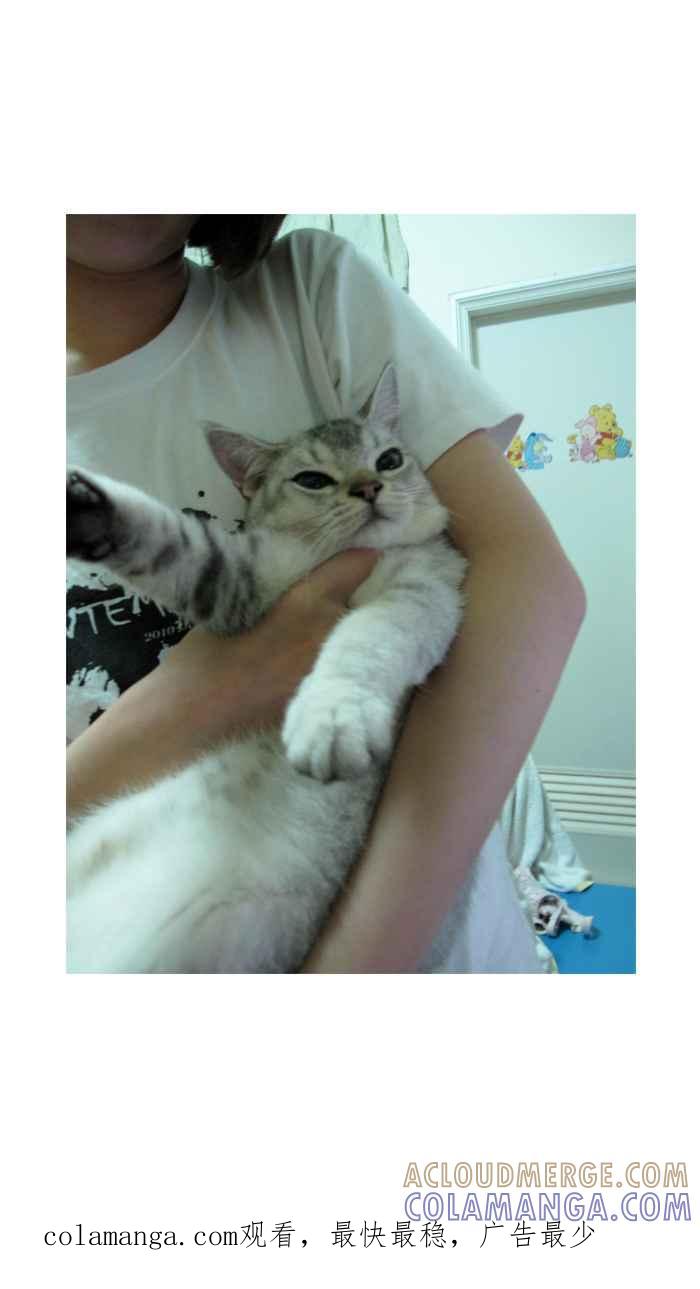 猫剑客 武侠猫咪特别篇 . 秘剑微云 第31页