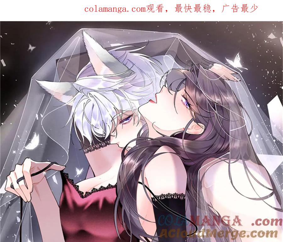 《白天被逃婚晚上被奶凶指挥官求抱抱》35 狐狸？狼？还是狗狗？ 第1页