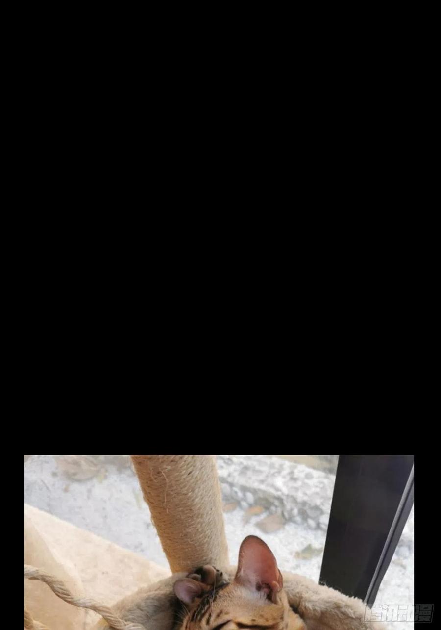 大象无形 第一百一十一章_封锁中 第33页