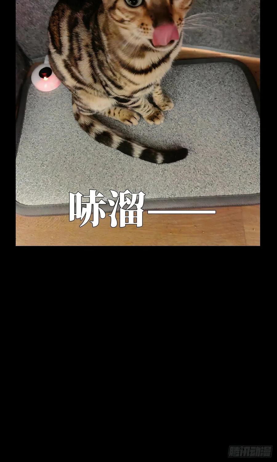 大象无形 第一百一十八章_灵域下 第47页