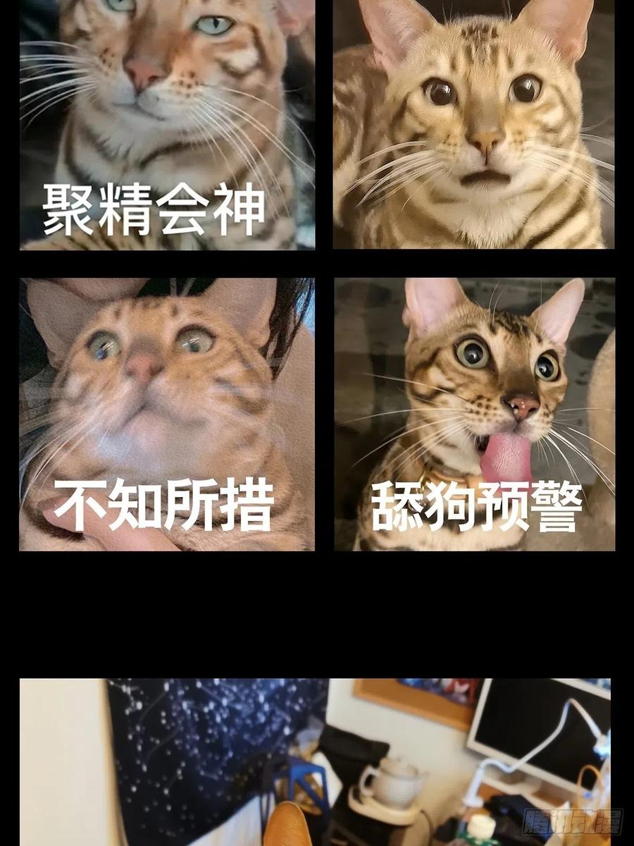 大象无形 第一百二十四章_解惑下 第50页