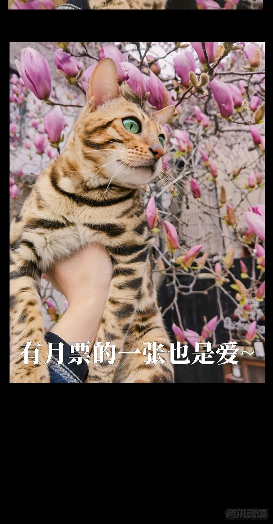 大象无形 第一百二十七章_情感下 第47页