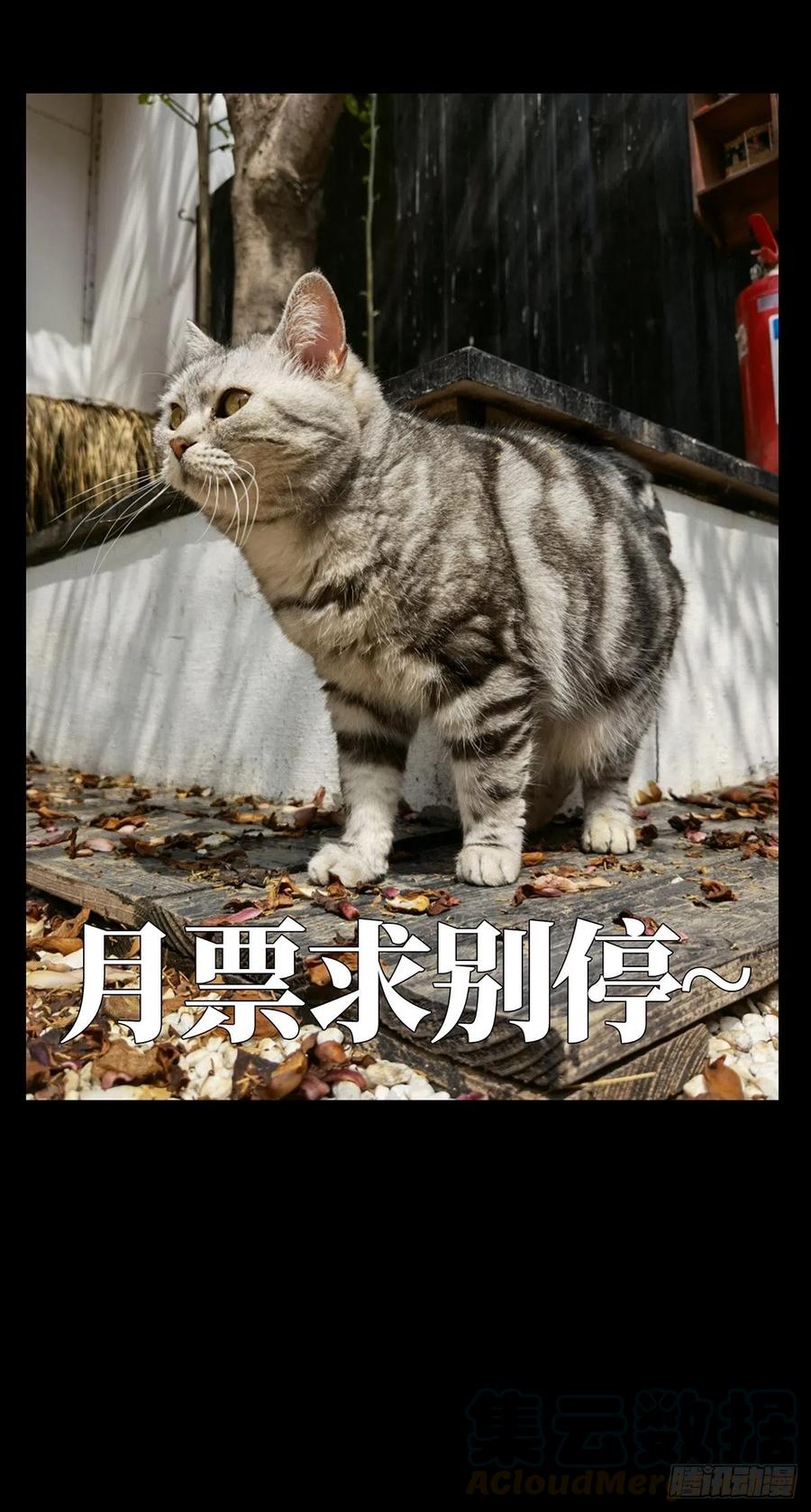 大象无形 第一百二十八章_情愫上 第41页