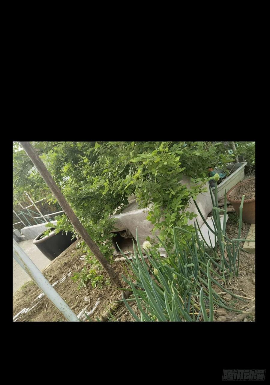 大象无形 第一百三十三章_黄九郎下 第48页