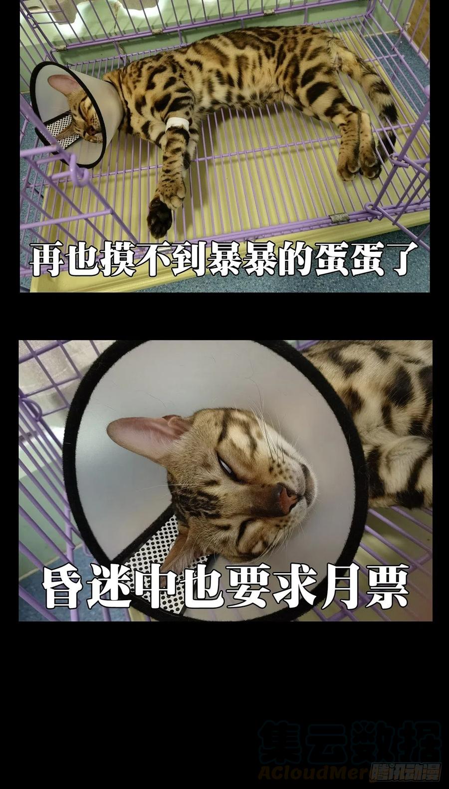 大象无形 第一百四十四章_舍命中 第39页
