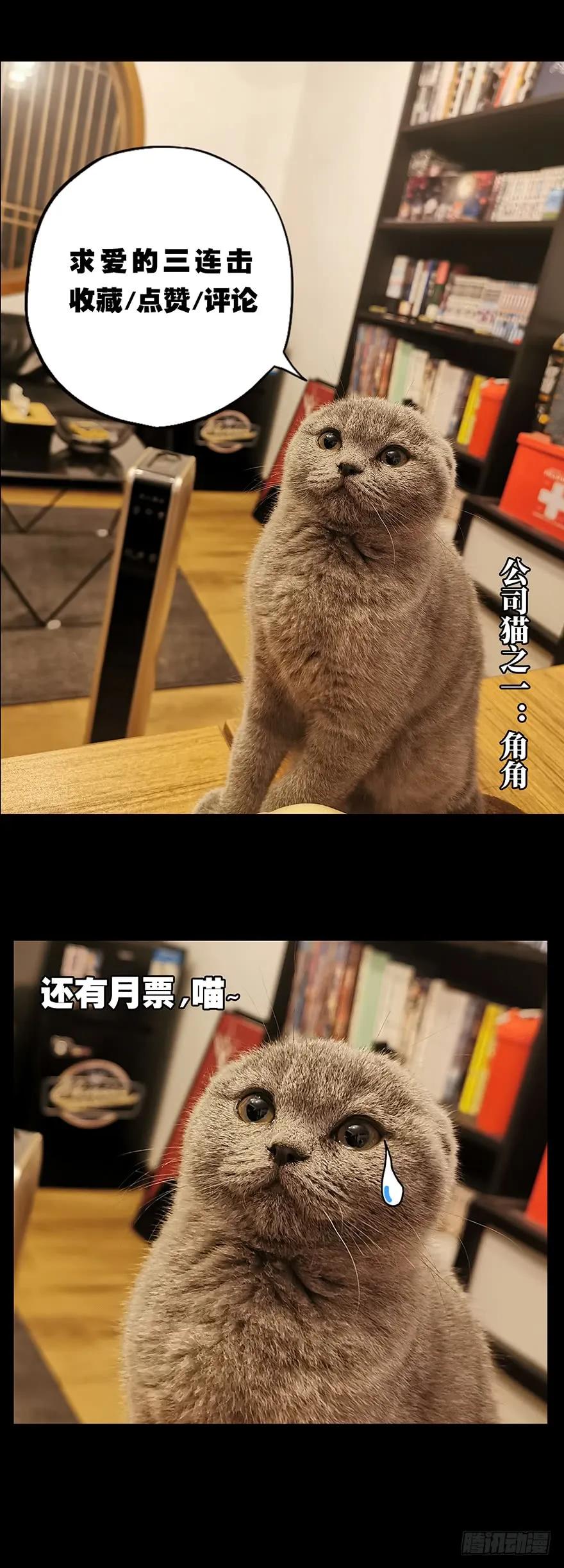 大象无形 第十四章_番天世界上 第46页