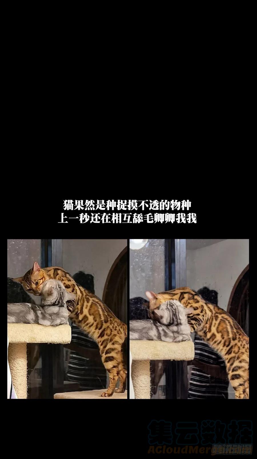大象无形 第一百五十八章_约定上 第41页