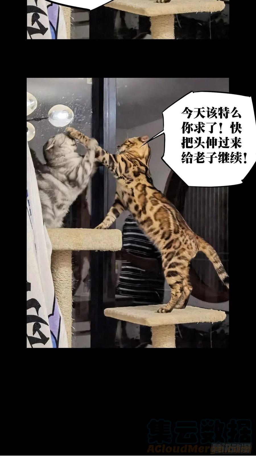 大象无形 第一百五十八章_约定上 第43页