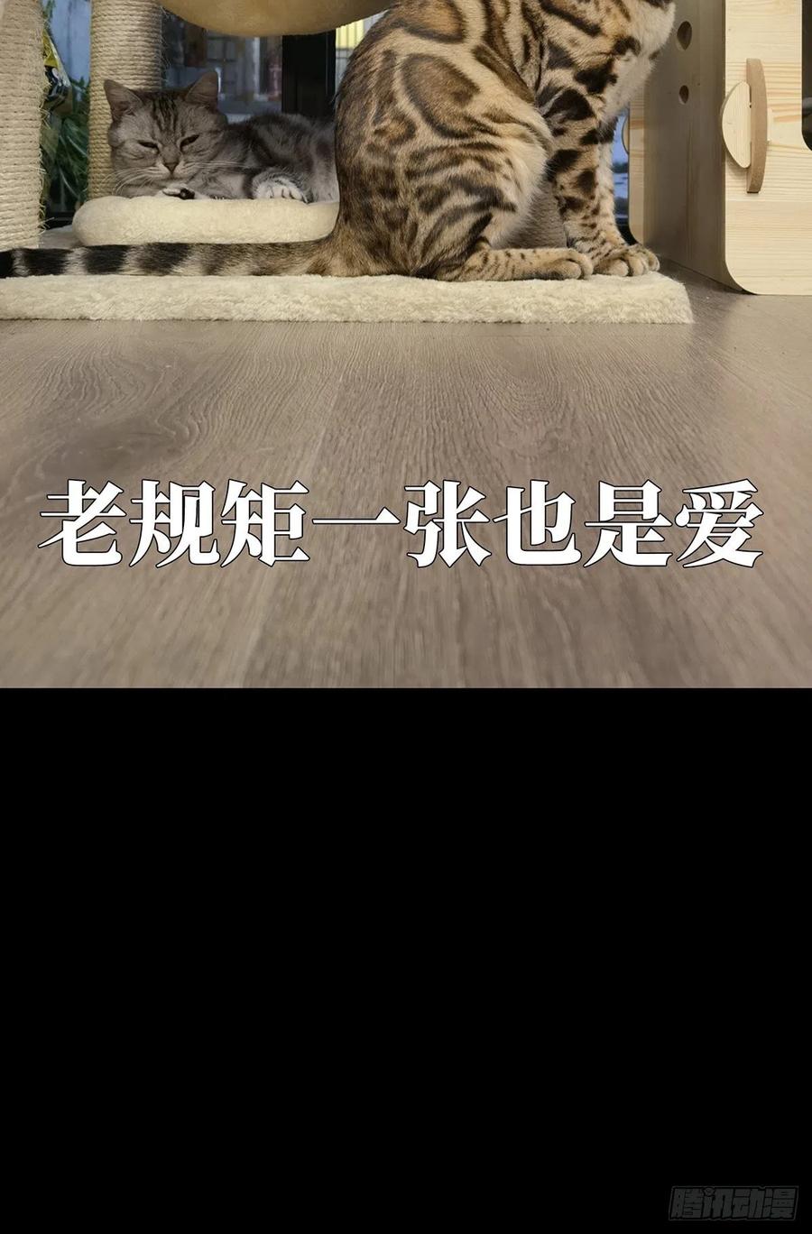 大象无形 第一百六十三章_会议下 第45页