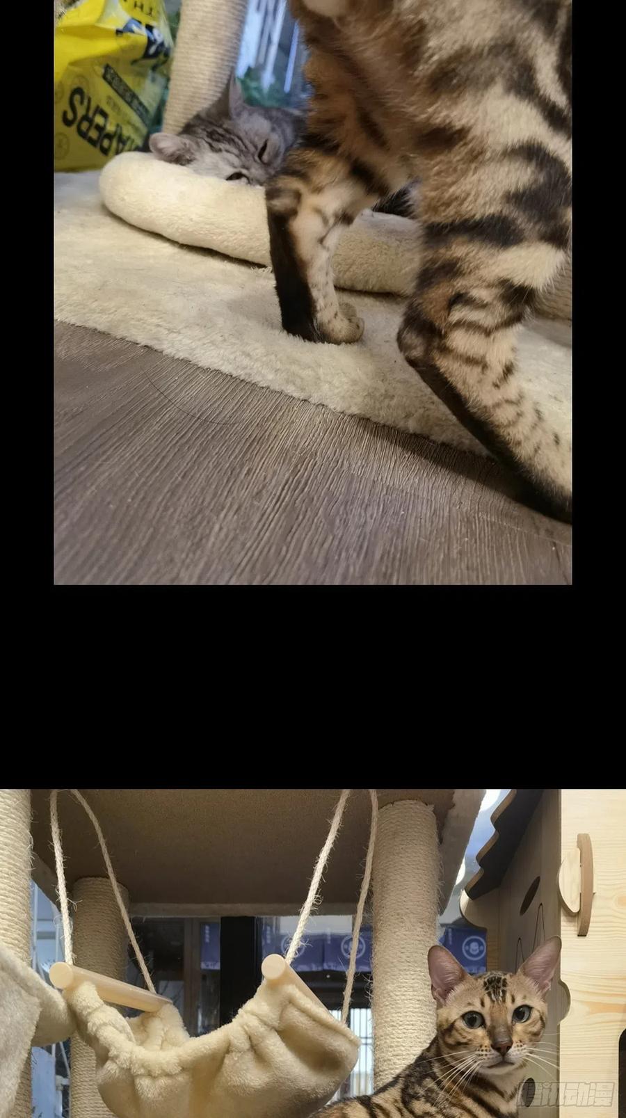 大象无形 第一百六十三章_会议下 第44页