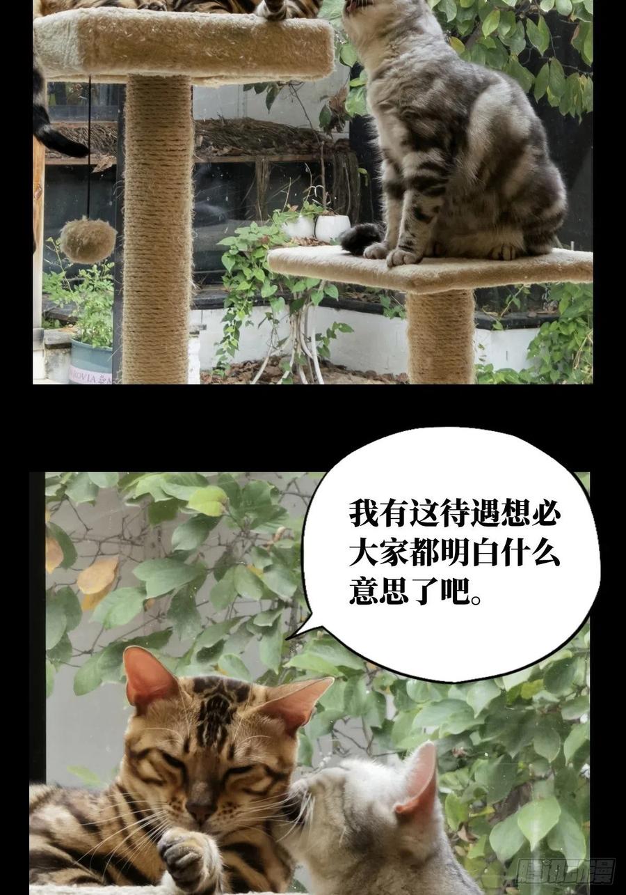 大象无形 第一百六十六章_牙牙下 第57页
