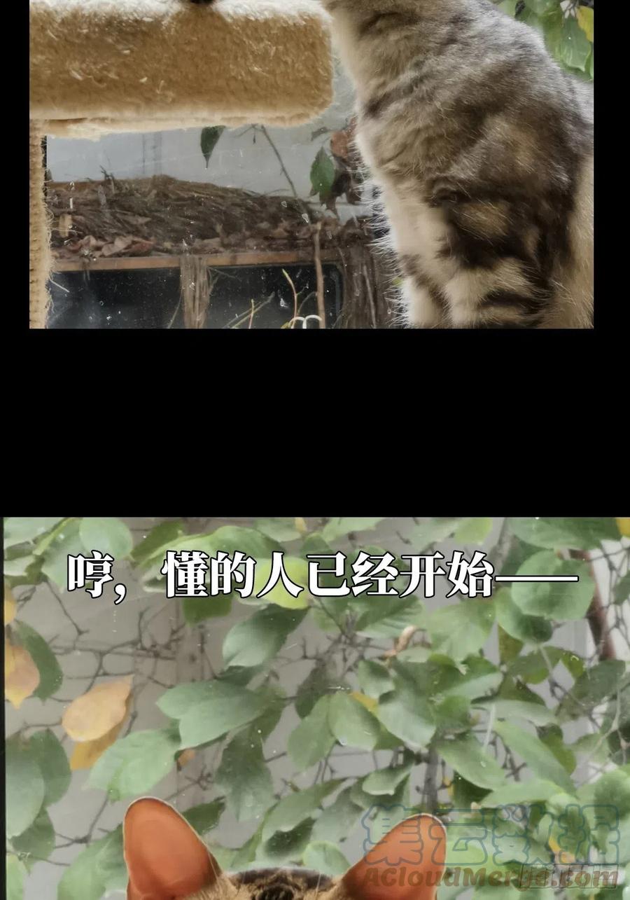 大象无形 第一百六十六章_牙牙下 第58页