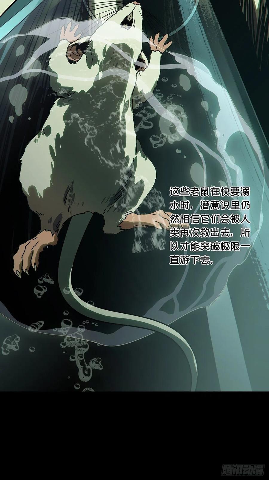 大象无形 第一百六十八章_希望中 第29页