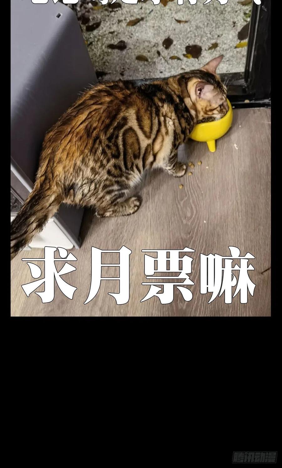 大象无形 第一百七十章_月茫岛上 第49页
