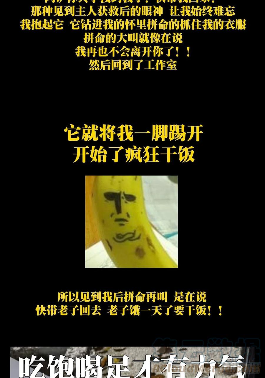 大象无形 第一百七十章_月茫岛上 第48页