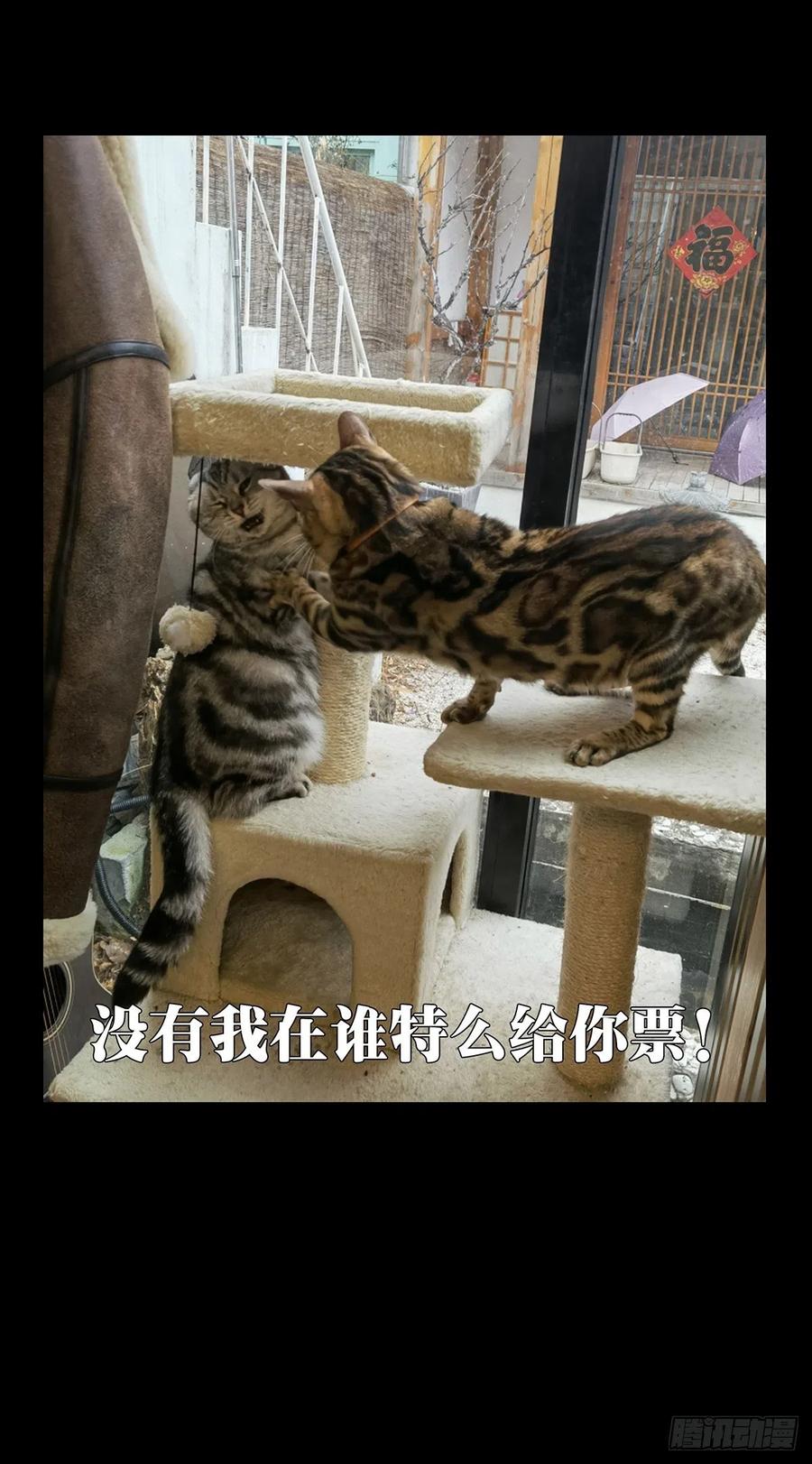 大象无形 第一百八十八章_反击上 第45页
