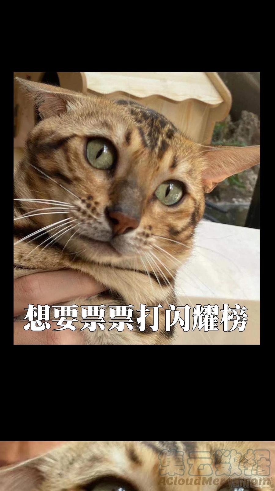 大象无形 第一百九十三章_活路下 第41页