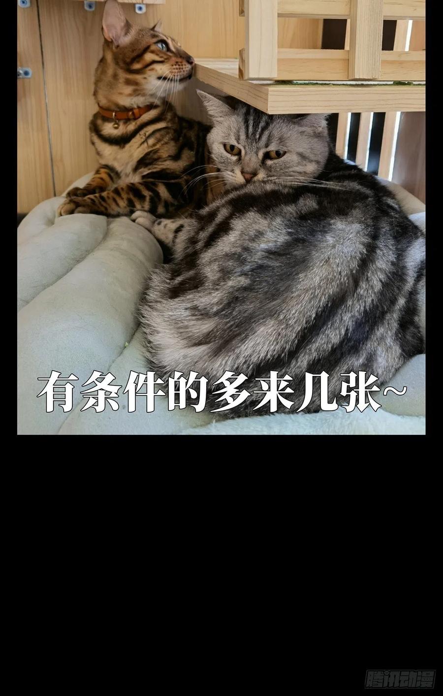 大象无形 第一百九十五章_贵人中 第60页