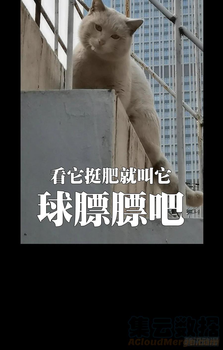 大象无形 第一百九十七章_轻敌上 第49页