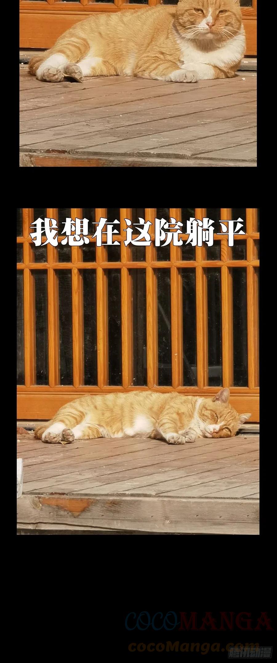 大象无形 第一百九十九章_轻敌下 第49页