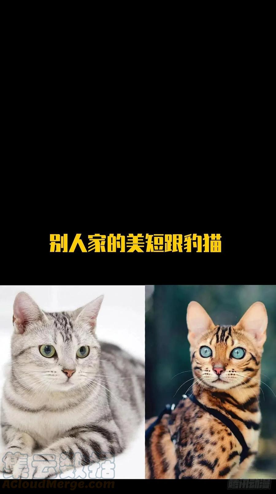 大象无形 第二百零八章_飞蛾扑火下 第46页