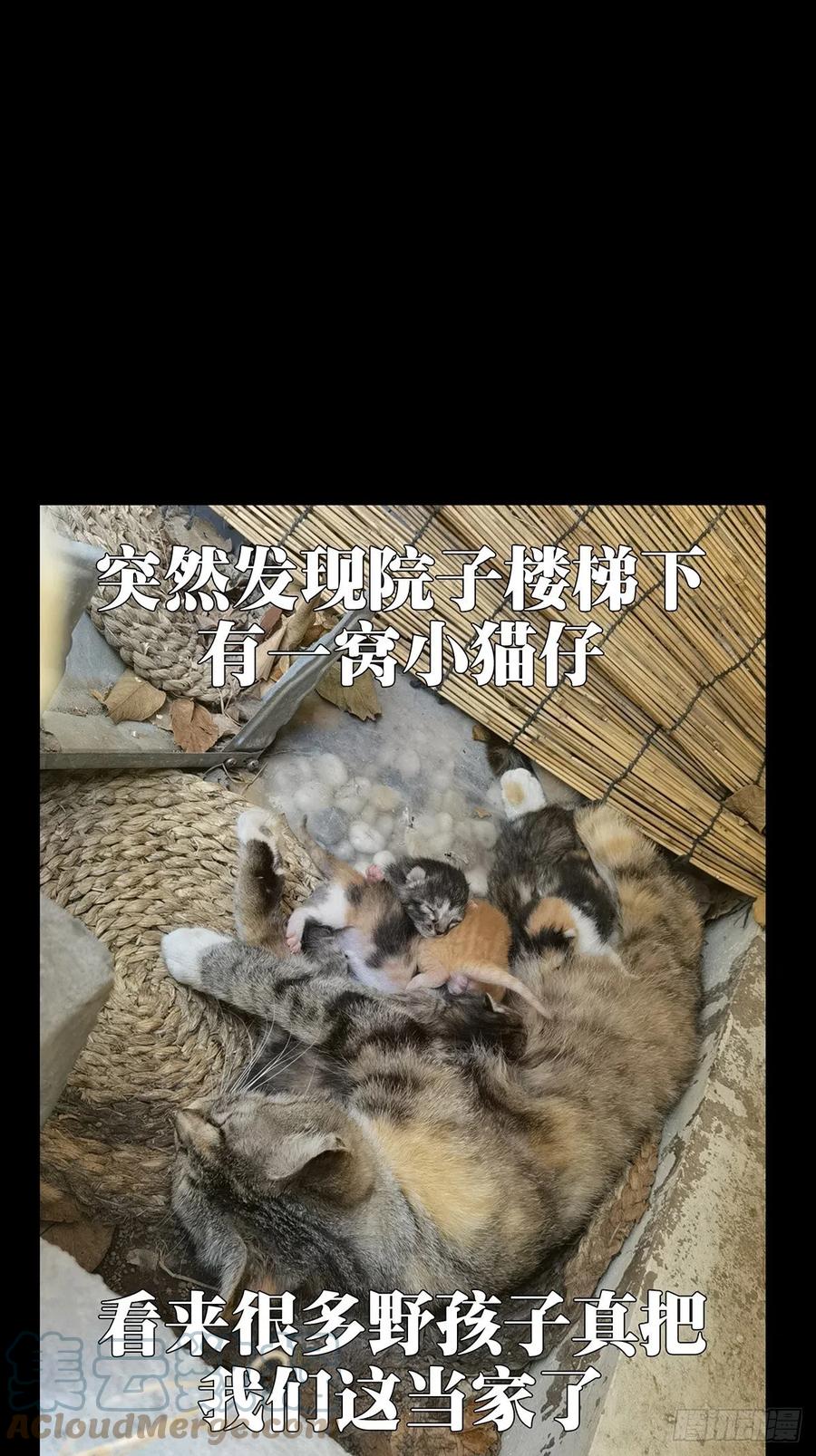 大象无形 第二百一十六章_新师父中 第46页