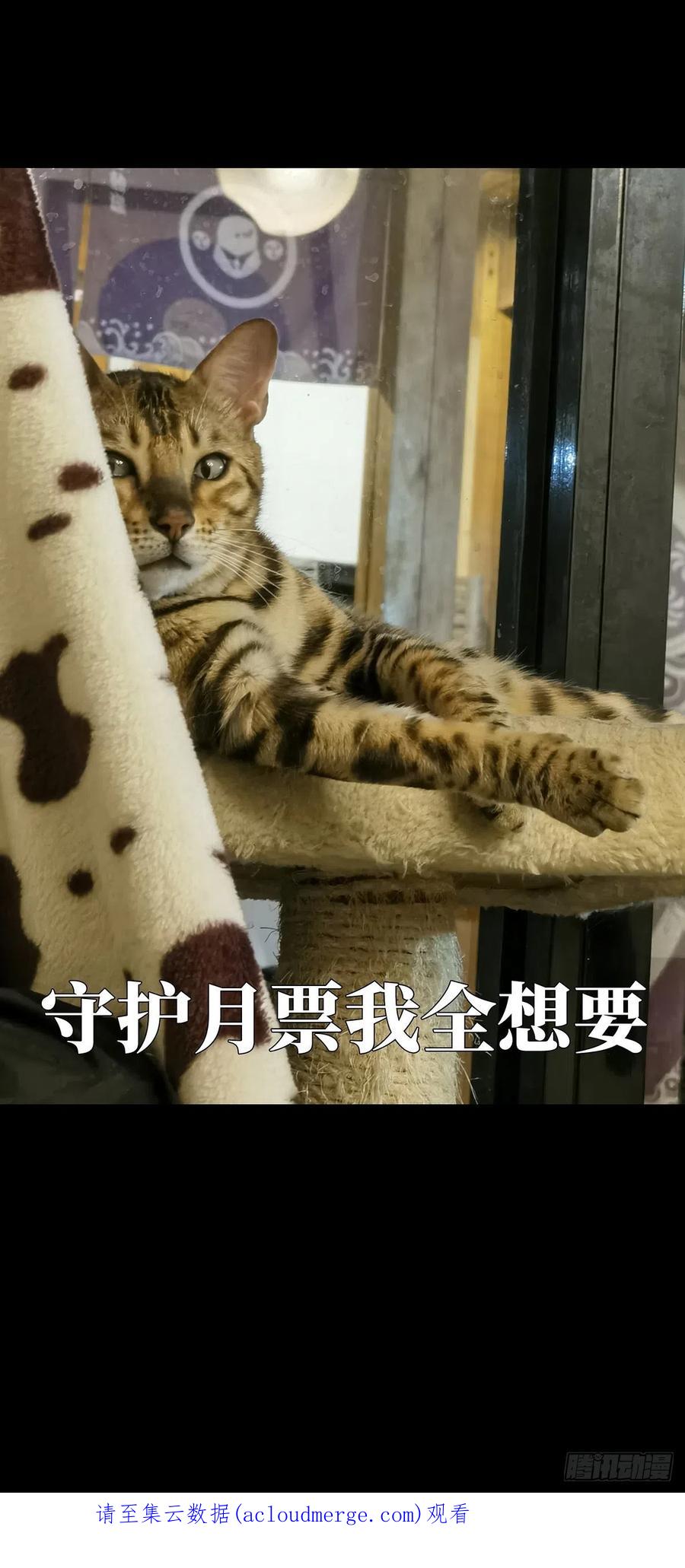 大象无形 第二百二十四章_夺魁赛开始中 第38页