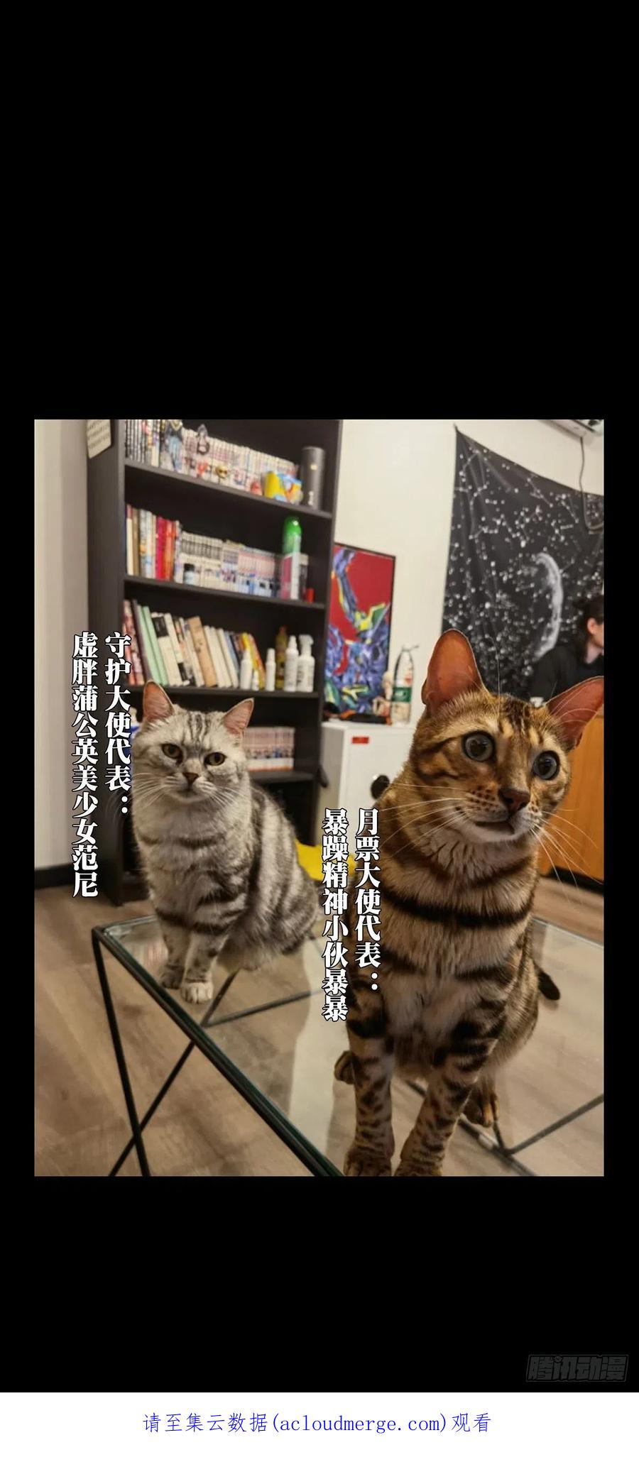 大象无形 第二百二十五章_夺魁赛开始下 第38页