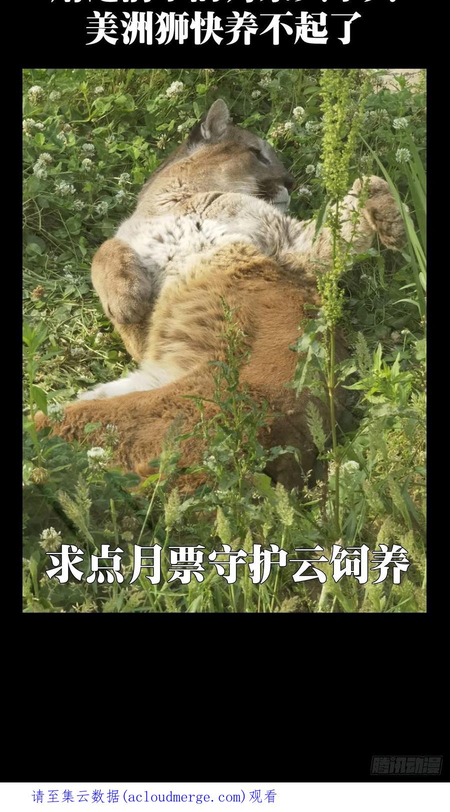 大象无形 第二百二十六章_抢房子上 第48页