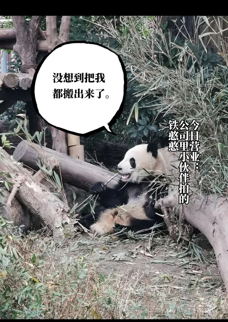 大象无形 第二十五章_命数下 第33页