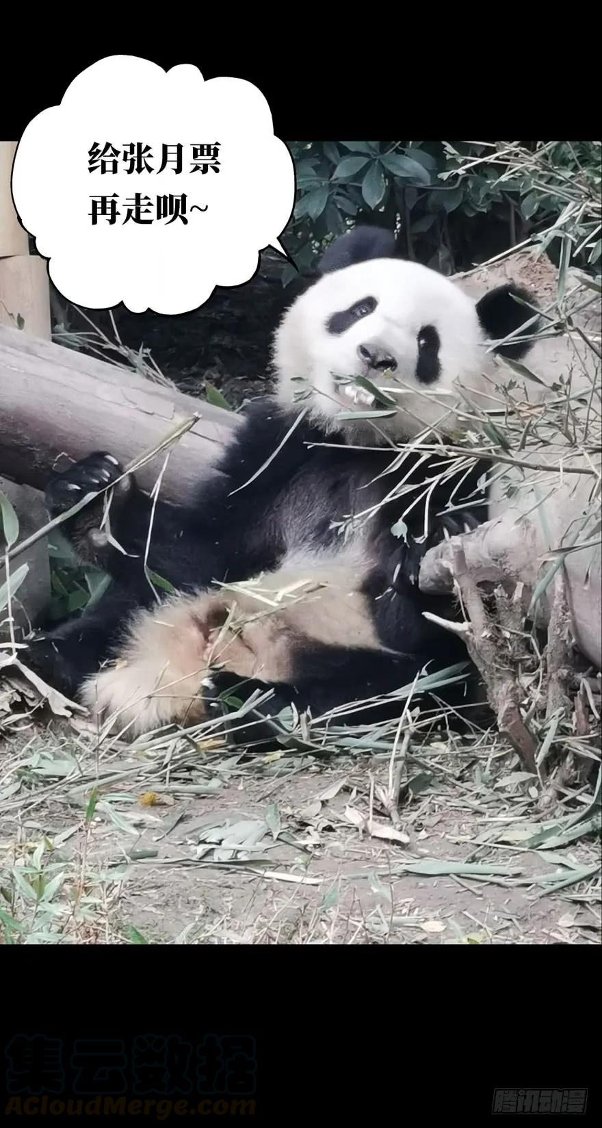大象无形 第二十五章_命数下 第34页