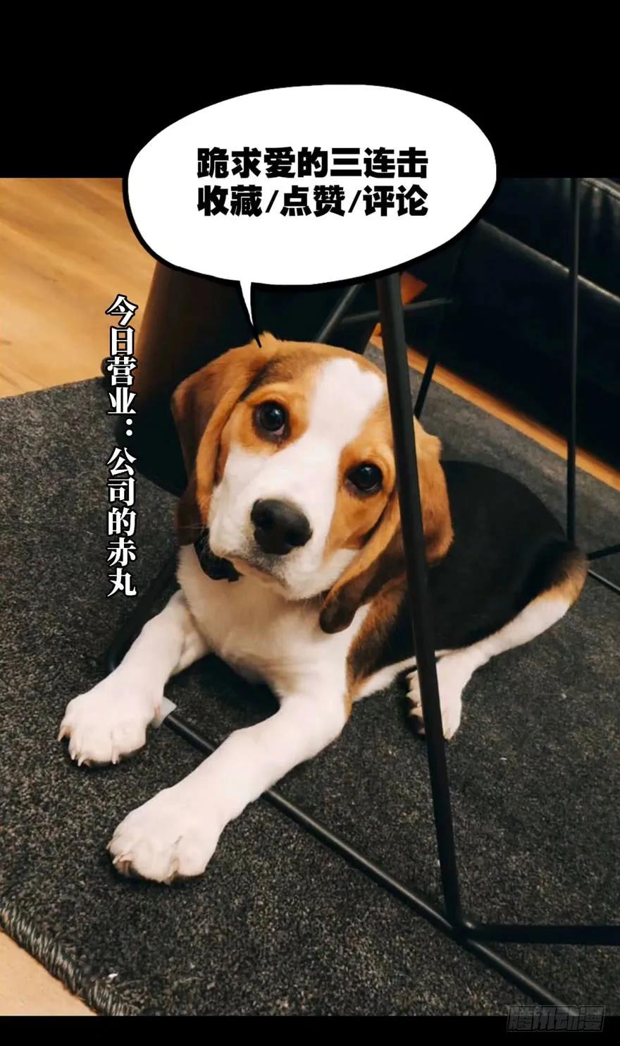 大象无形 第二十六章_封存上 第39页