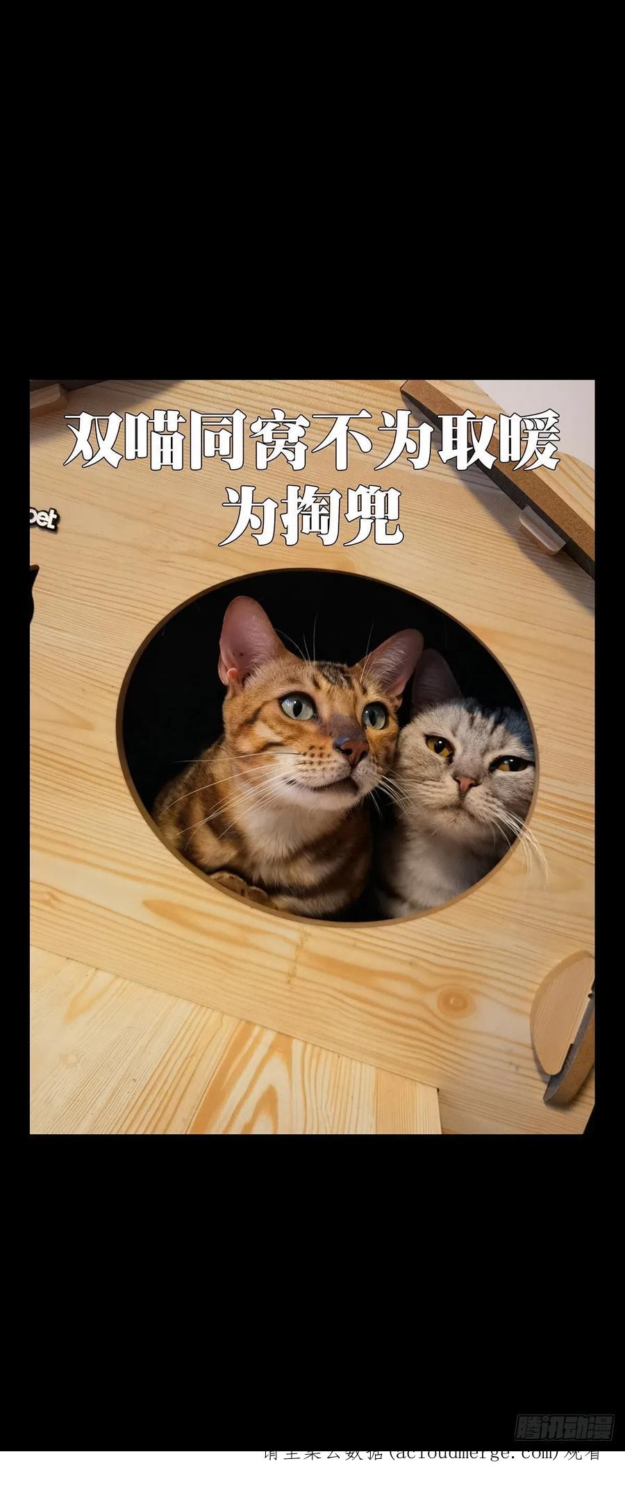 大象无形 第二百六十章_内鬼中 第40页