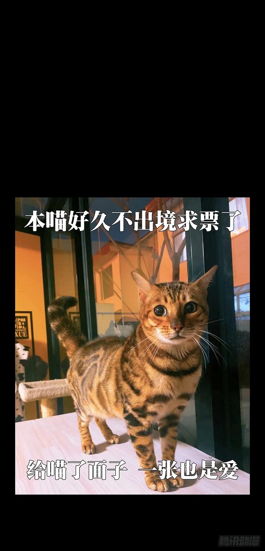 大象无形 第二百八十六章_怨念上 第51页
