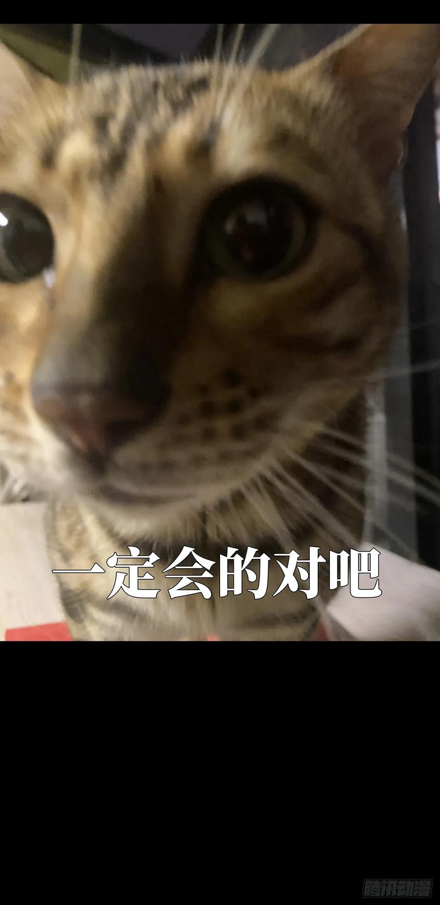大象无形 第二百九十一章_目标下 第51页