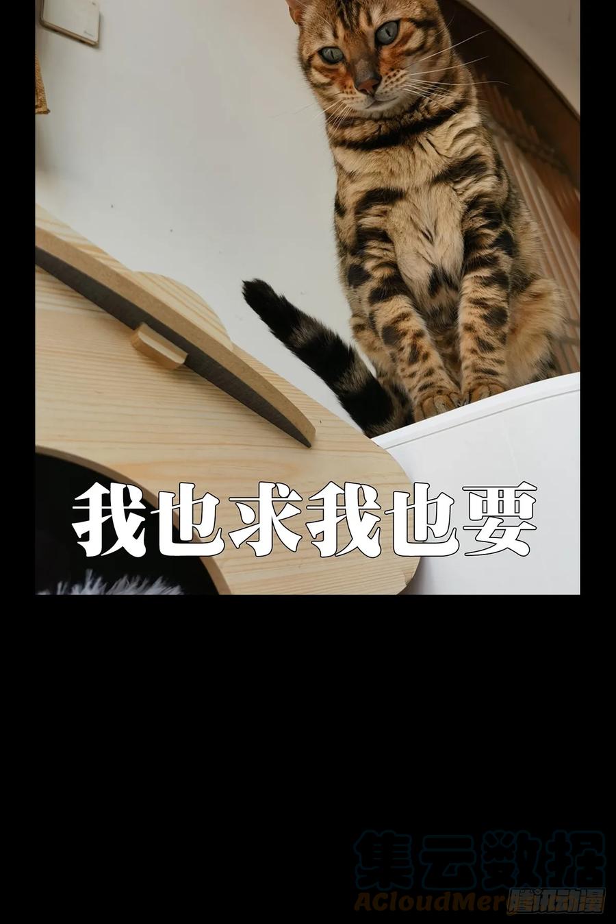 大象无形 第三百章_怒火下 第39页