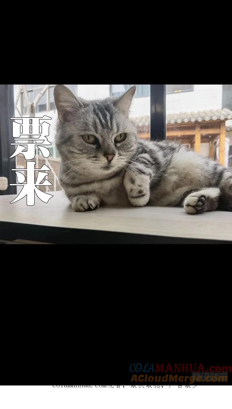 大象无形 第三百零八章_宿命中 第46页