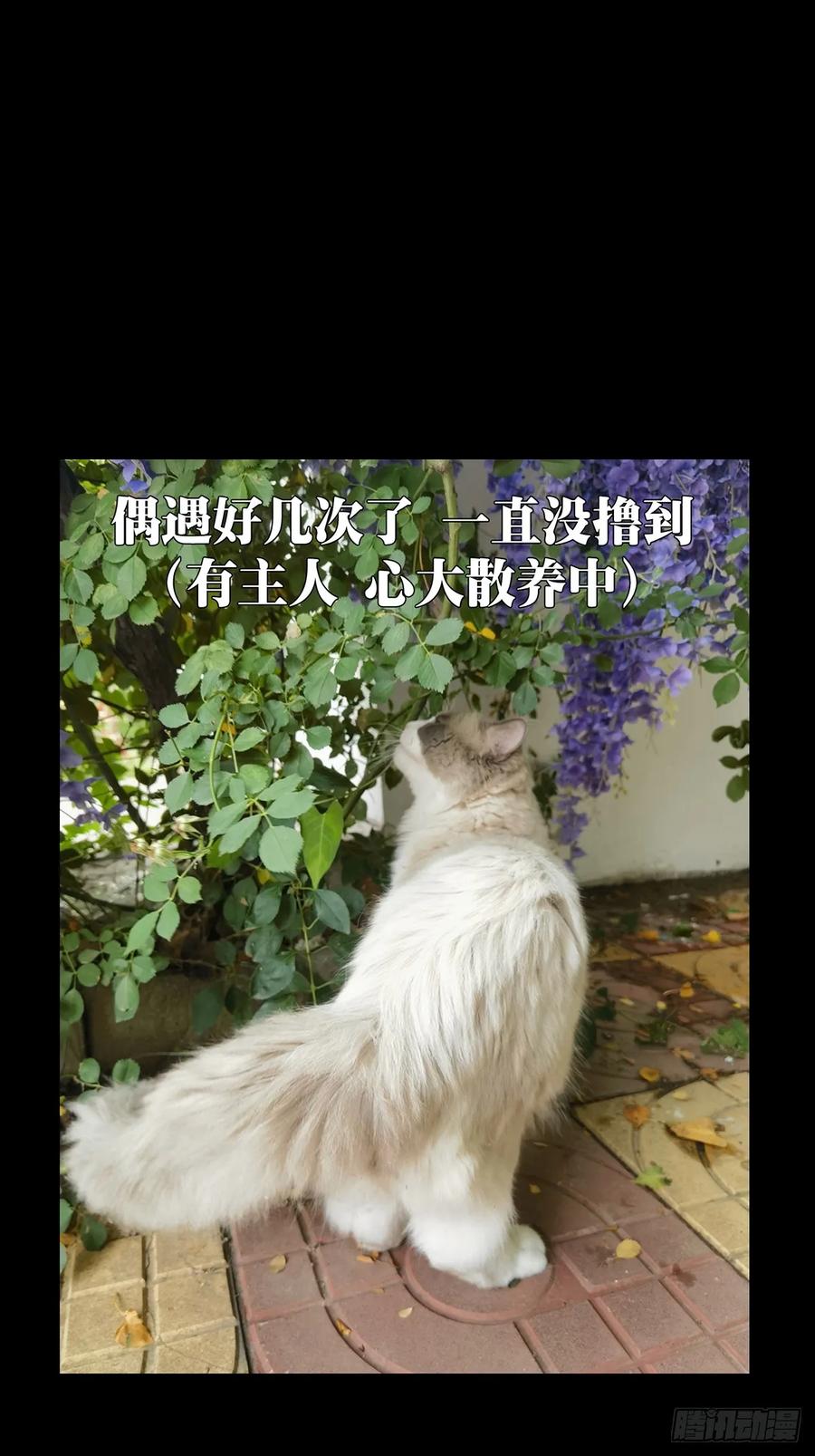 大象无形 第三百二十五章_活下去中 第43页