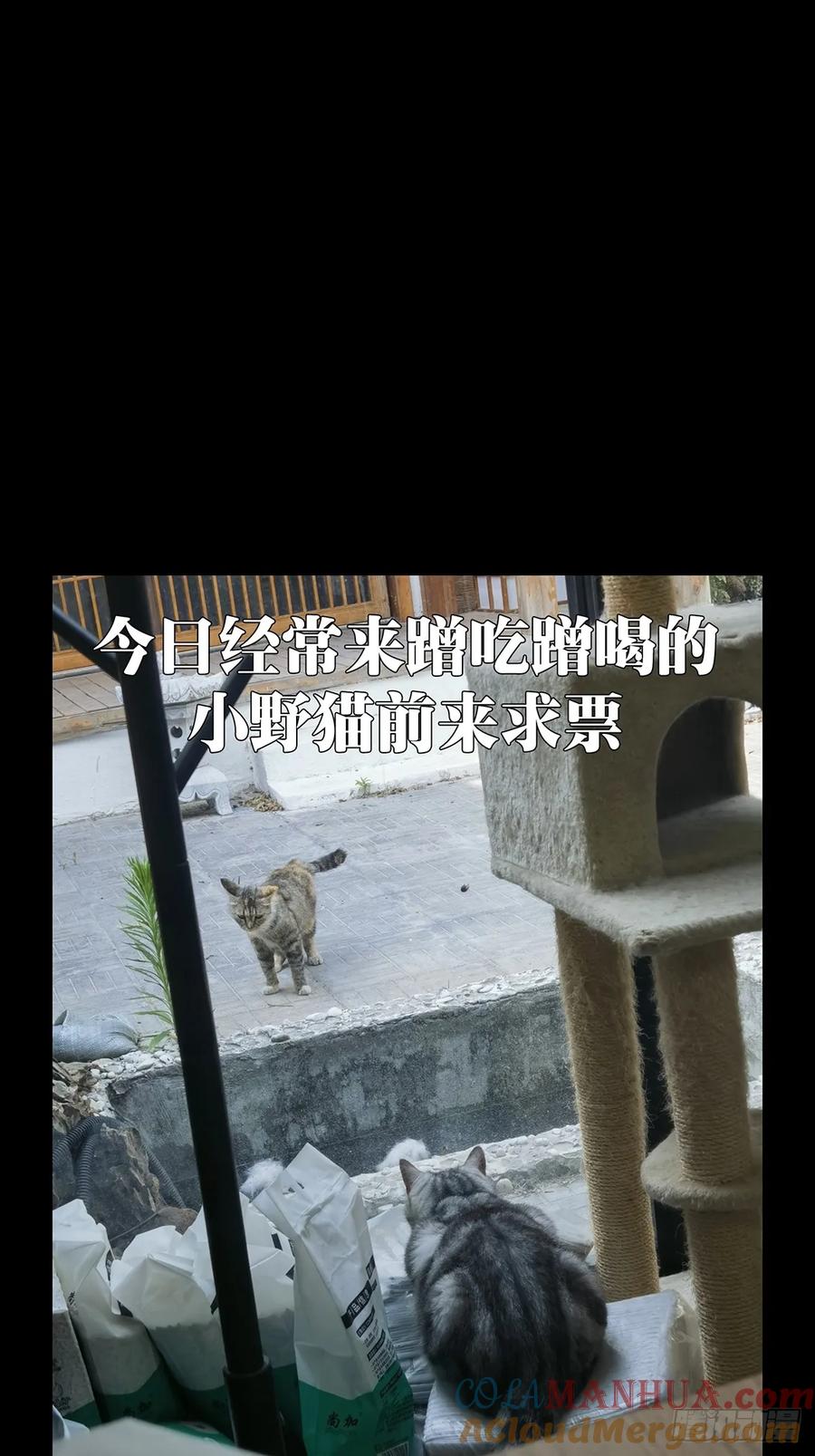大象无形 第三百二十八章_神中 第46页