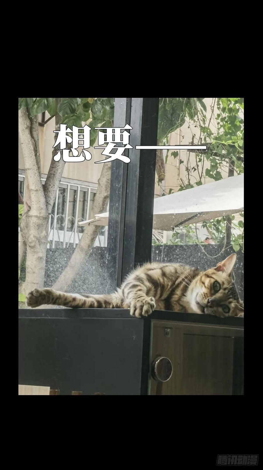 大象无形 第三百三十七章_因果中 第50页
